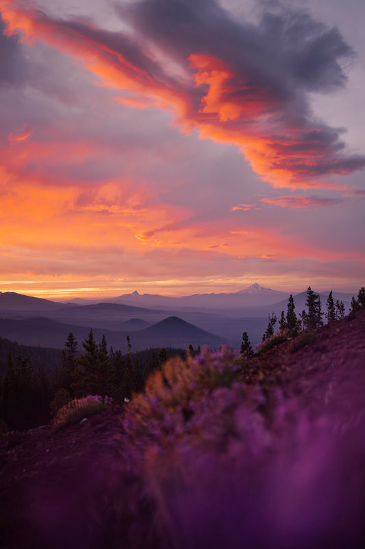 Skyline Forest Sunset (Portrait)