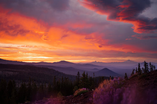 Skyline Forest Sunset (Landscape)