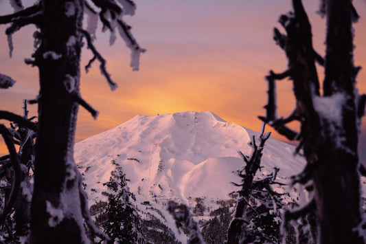 A Window to Bachelor